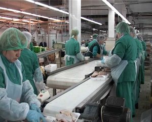 Как делают куриные полуфабрикаты. Импортозамещение.