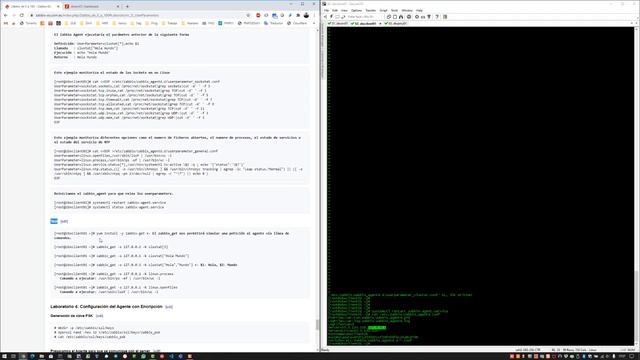 Host e Instalación del Agente - Practica Lab 3 смотреть онлайн