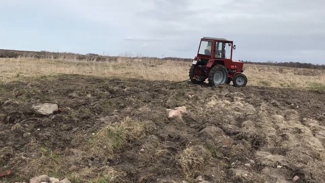 Пришло время собирать камни! Освобождаем будущий огород от булыжников с помощью Трактора Т25 смотреть онлайн