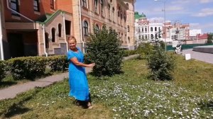 БИРЮЗОВАЯ КРАСОТА. Сапфир люкс. ИДЕИ для творчества.