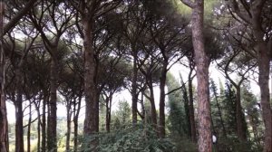 КРЫМ самые красивые места - Крым ЭКСКУРСИИ - Достопримечательности Крыма