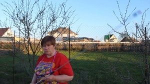 Опрыскивание деревьев весной.Подробное видео.От А до Я.