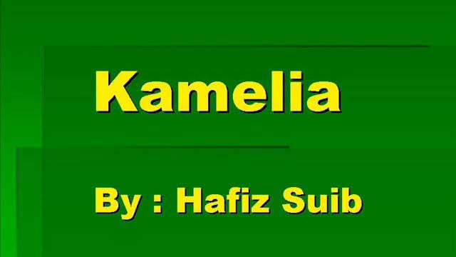 Kamelia Sweet Charity смотреть онлайн