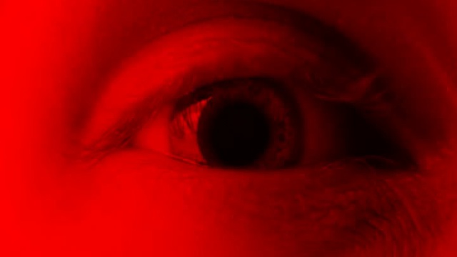 Deathstars 2014 - The Perfect Cult