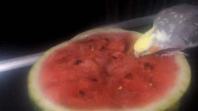 Корелла Роки, девочка смотреть онлайн