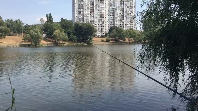 Рыба любит дурака смотреть онлайн