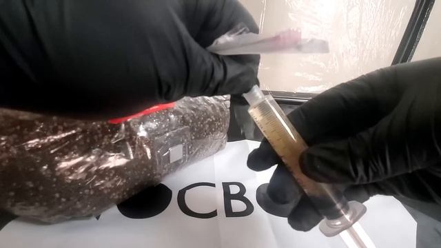 All In One Mushroom Grow Bag Inoculation - S2 EP1 смотреть онлайн