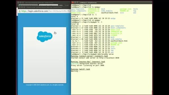 Quick Bytes Episode 7 - Using the MobileCaddy CLI tool смотреть онлайн