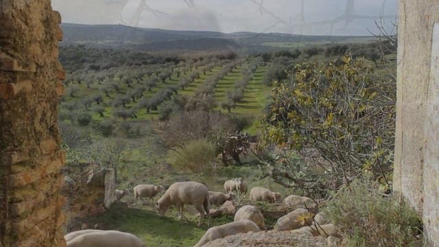'For Christos' - Georgina Sánchez Torres & Johan De Pue (Shambalajah) смотреть онлайн