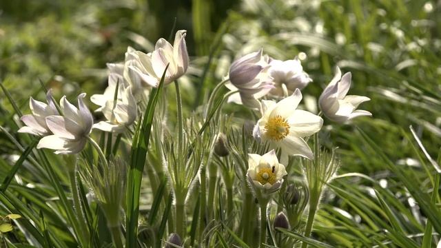 Пришло время любоваться прострелами смотреть онлайн