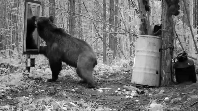 что такое ПОЧЕМУ смотреть онлайн