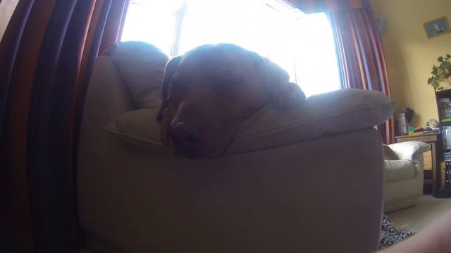 Gopro Hero 3 Black Vs Panasonic Hc-V100 смотреть онлайн