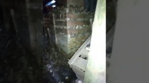 Сохранить и высушить щепу