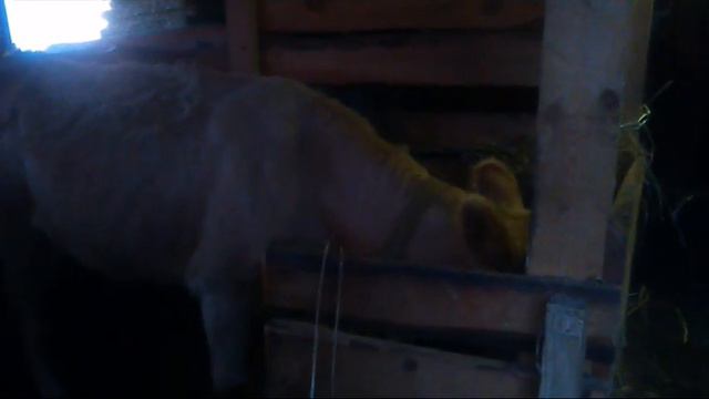 Почему мы уехали из города смотреть онлайн