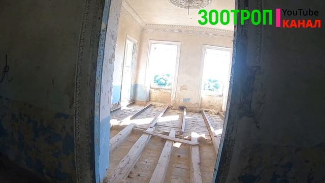 Усадьба Чацких. Винницкая область. Серебринцы. Достопримечательности Украины. Сталкер. #зоотроп смотреть онлайн