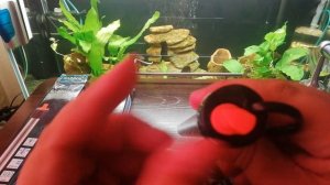 Нагреватель для аквариума Barbus 012 ударопрочный 300 Вт (250 - 350 л). Barbus "Heater 011", 200 Вт