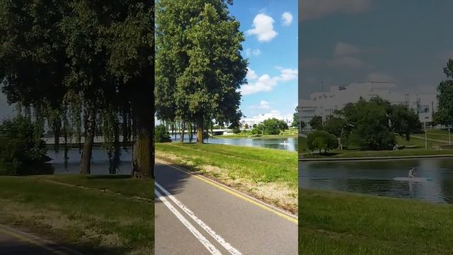 Река Свислочь. #беларусь #путешествия #отдых #спортклуб смотреть онлайн