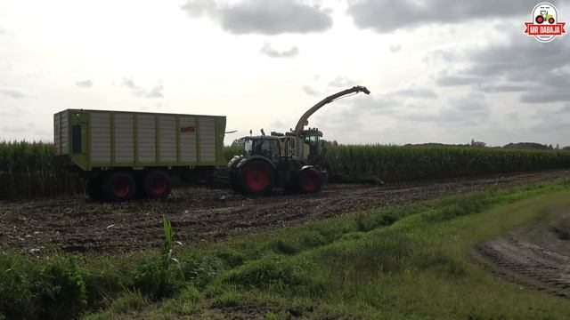 part 2 Cornharvest 2023 Mulders bv krone big x 850+ easycollect 12 rows+fendt+dronefootage смотреть онлайн