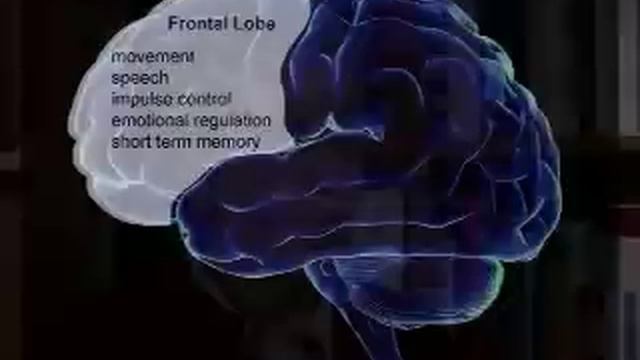 What Is Neurofeedback ? - EEG INFO Videos смотреть онлайн
