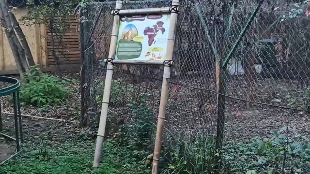 Сафари парк | Лучший зоопарк Краснодара. Звери со всего мира смотреть онлайн