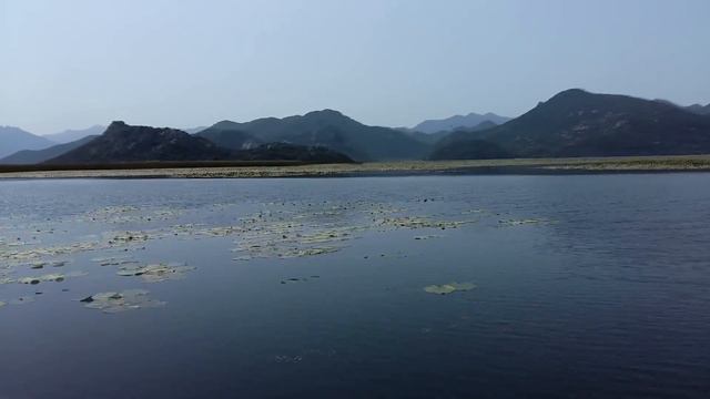 Скадарское озеро Черногория (