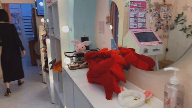 Устрицы от государства Кореи. Наша годовщина смотреть онлайн