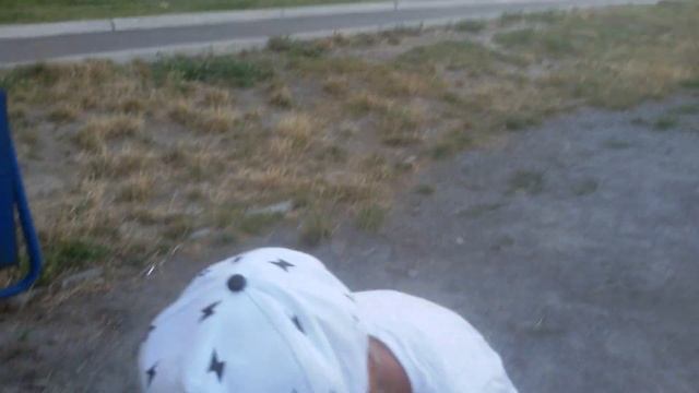 Влог: Вышли гулять и увидели это! Огромные муравьи. смотреть онлайн