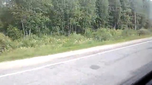 19.07.2015: Буй - Чистые Боры. ВСА-3303-97. смотреть онлайн