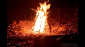 Звуки огня костра/ треск дров огня/ Relax/ звуки природы/ лес/ исцеляющий огонь/ шашлындос