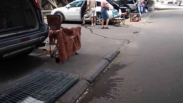 Староконный рынок.Одесса.Животные,рыбки,попугаи. смотреть онлайн