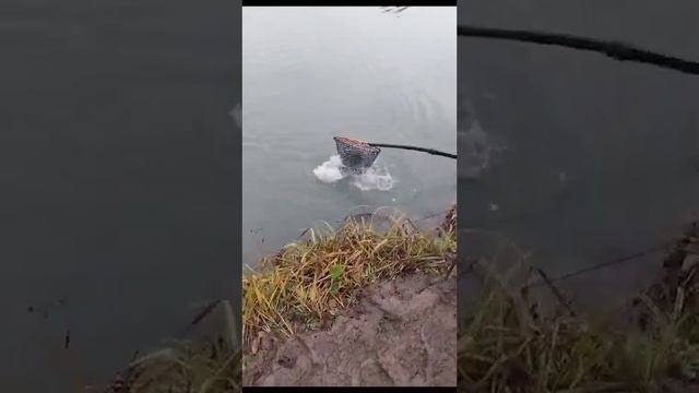 ещё одна на блесну смотреть онлайн