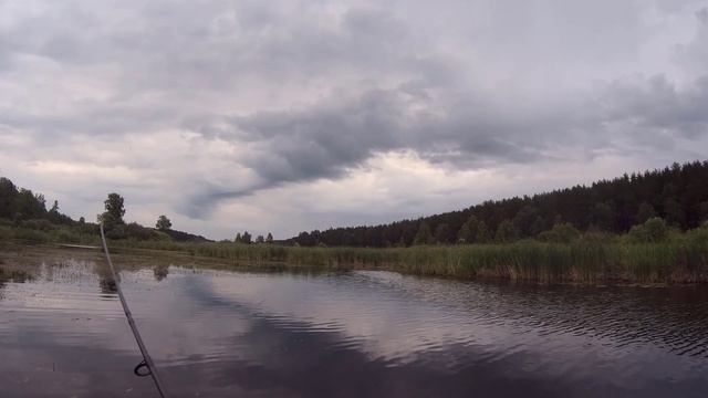 Голодные щуки ждут только эту приманку. Щуки сибирских лиманов РЕВАНШ 19.06.2020 смотреть онлайн
