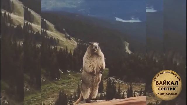 А ты уже установил септик под ключ? смотреть онлайн