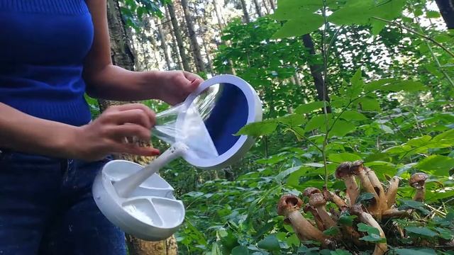 ? Складное зеркало с подсветкой ? смотреть онлайн