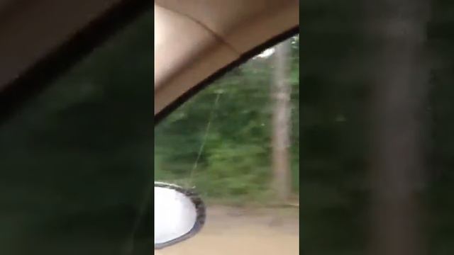 Село возрождение 6.07.2012 вечер смотреть онлайн