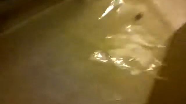 After 100 Mm Of Rain In A Friend's House, Domodedovo, Moscow, September 2013