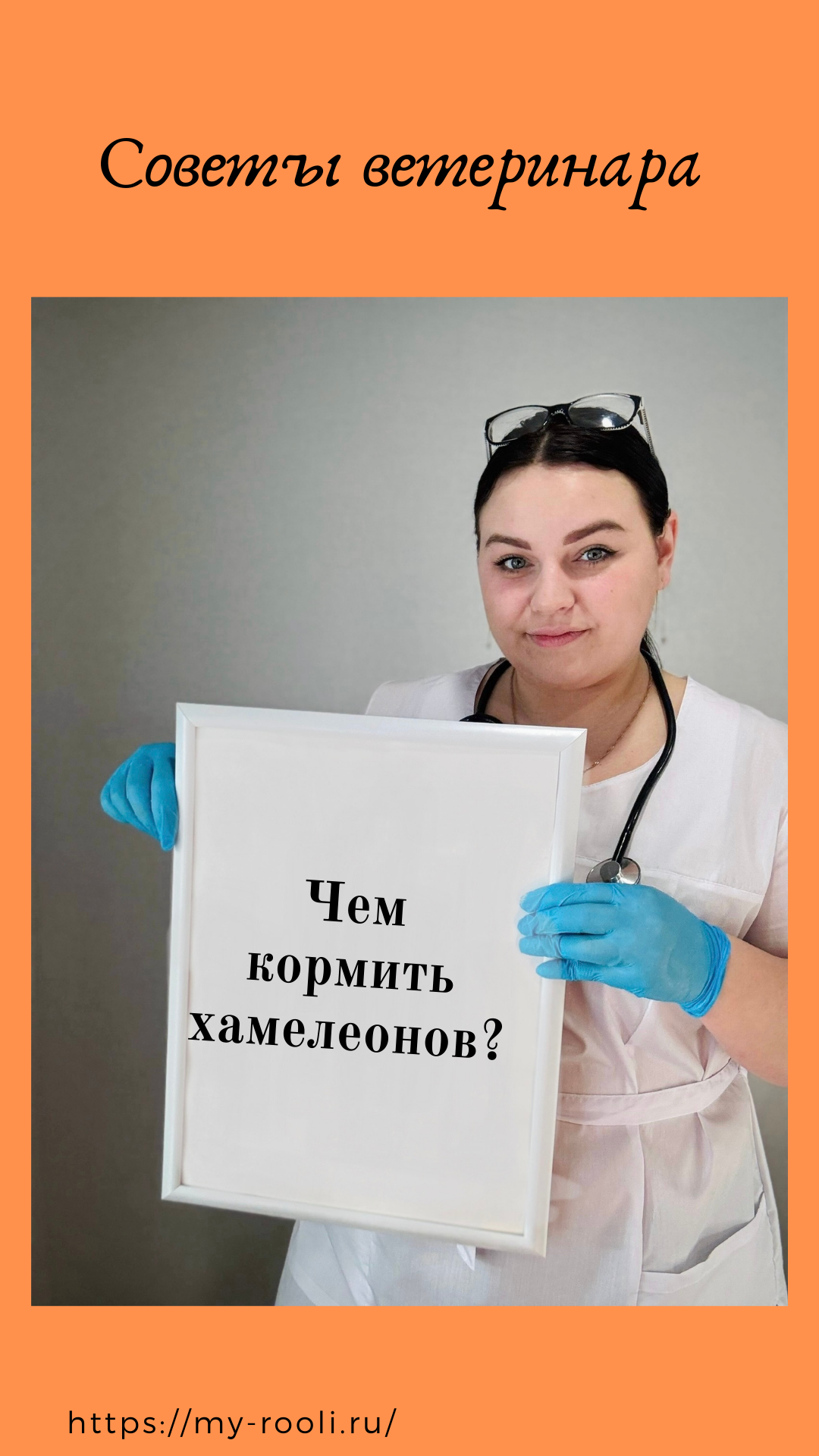 Чем кормить хамелеонов? Консультация онлайн ветеринара ROOLI по питанию хамелеонов. смотреть онлайн