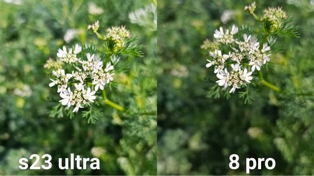 Samsung Galaxy S23 Ultra Vs Oppo Reno 8 Pro Camera Test