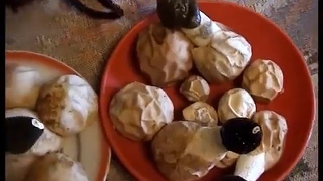 Грибы Веселки. Как приготовить настойку из гриба Веселка смотреть онлайн