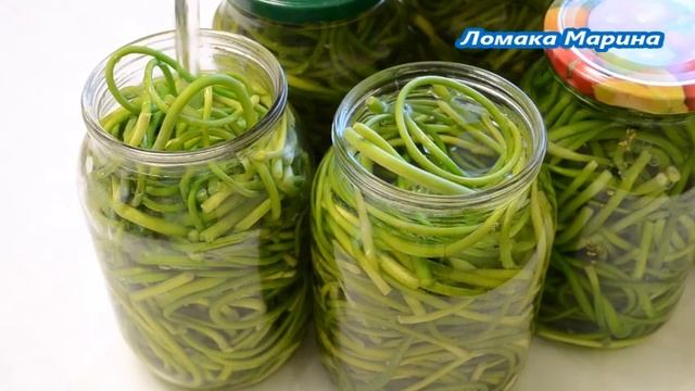 Лекции по Психологии и Личностному Развитию