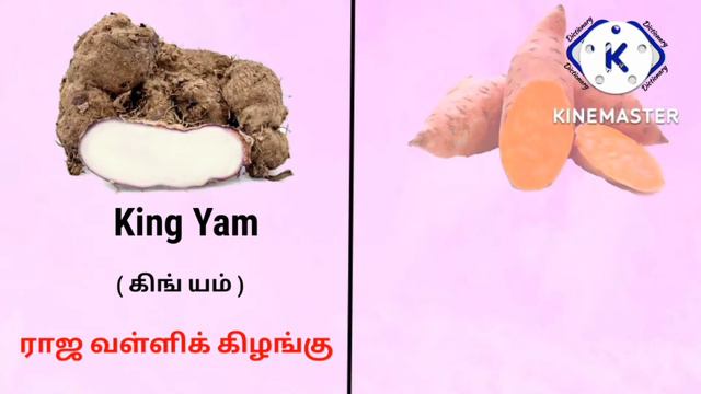 கிழங்கு வகைகள் | Vegetables Names in Tamil & English | Yam, Elephant Foot Yam, Colacasia, Tuber... смотреть онлайн