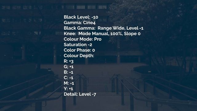 How to Get S-CINETONE ON THE SONY A7III + FREE LUT смотреть онлайн