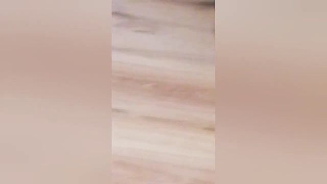 Шар для хомяка. Как хомяк гуляет в шаре смотреть онлайн