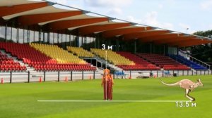 АБВГДейка ? Рекордсмены среди животных ? Официальный канал