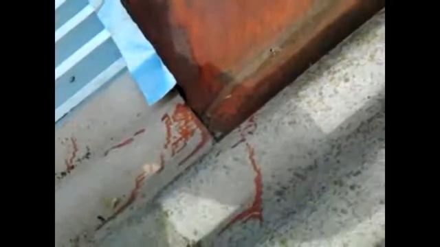 примыкание к слуховому окну формирование желоба смотреть онлайн