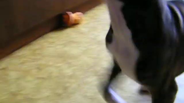 Флибустьер из России с Любовью смотреть онлайн