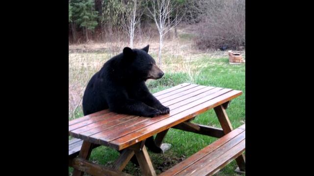 Сатана Печёт Блины - Твои Кратеры смотреть онлайн