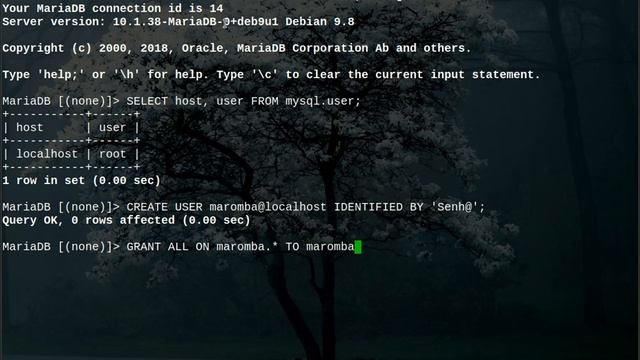 MariaDB criar usuário, dar privilégios e criar a DB via console. смотреть онлайн