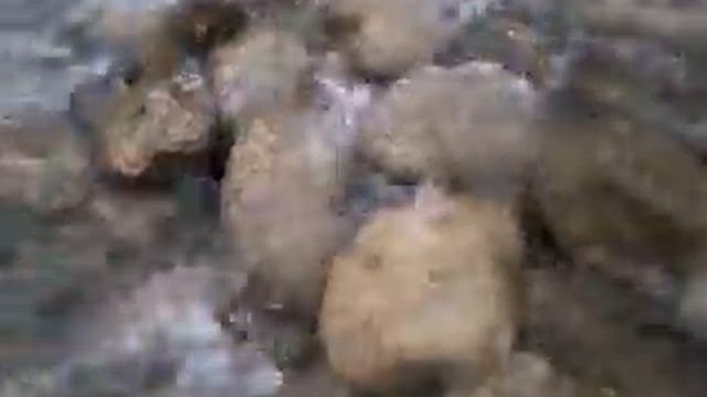 Вода- это жизнь смотреть онлайн
