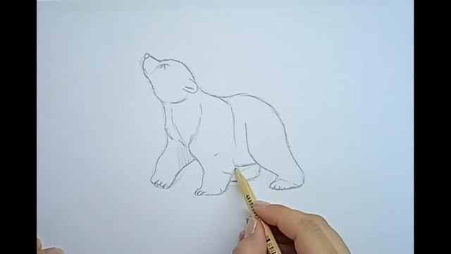 Как нарисовать медвежонка \\ белый мишка \\ нарисовать медведя \\ белый медвежонок смотреть онлайн